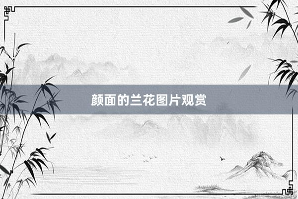 颜面的兰花图片观赏